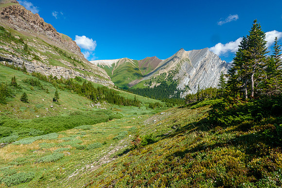 Hiking over Aylmer Pass.