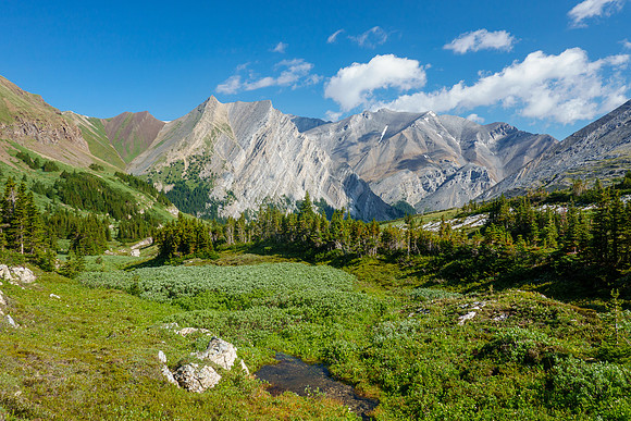 Hiking over Aylmer Pass.