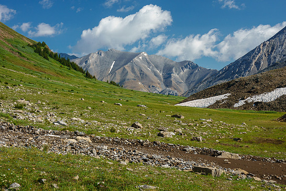 Hiking over Aylmer Pass.