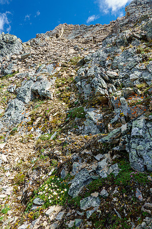 Steep rubble and slabs to the summit of Brocks Peak.