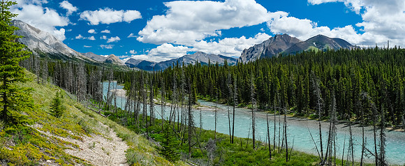 Hiking the Red Deer River trail.