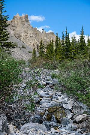 Ascending the west drainage of Boar Station.