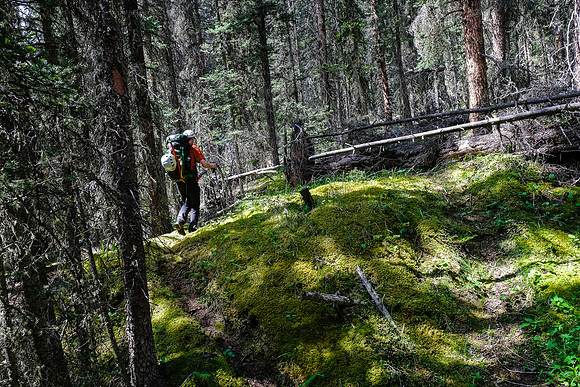 Hiking up McConnell Creek.