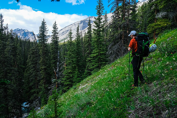 Hiking up McConnell Creek.