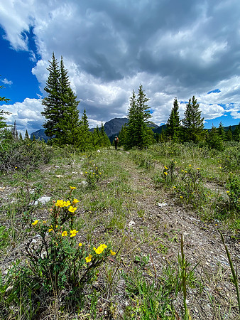 Hiking back along the Cascade fire road trail to Tinda.