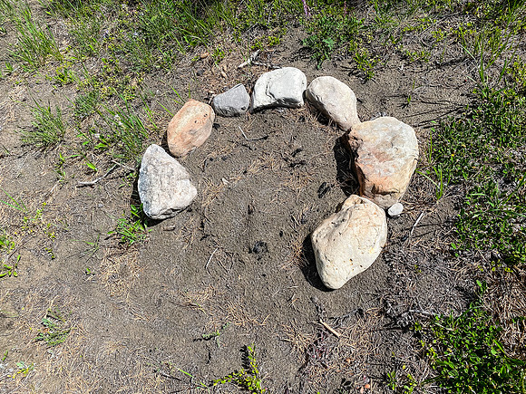 Old camp site on McConnell Creek.