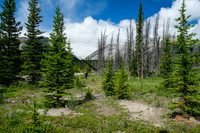 Hiking up McConnell Creek.
