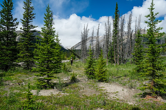 Hiking up McConnell Creek.