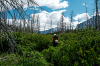 Hiking back along the Red Deer River.