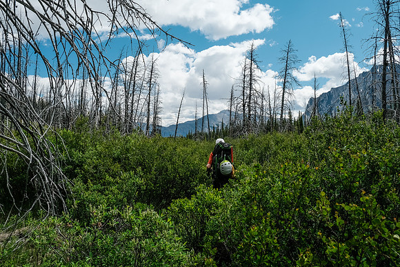 Hiking back along the Red Deer River.