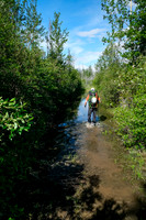 This section of the Cascade fire road needs someone with a shovel to "drain the swamp"!