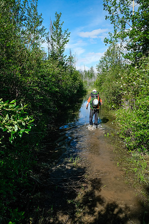 This section of the Cascade fire road needs someone with a shovel to "drain the swamp"!