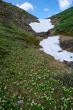 Traversing into the NW valley of McConnell Creek.