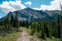 Hiking back along the Red Deer River nearing the Cascade fire road junction and Mount White.