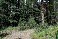 At the Red Deer River / Cascade fire road trail junction.