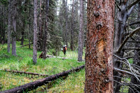 Exiting McConnell Creek.