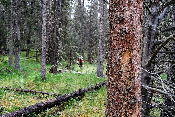Exiting McConnell Creek.