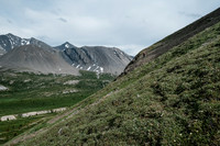 A high-line traverse above the McConnell meadows back to our bivy.