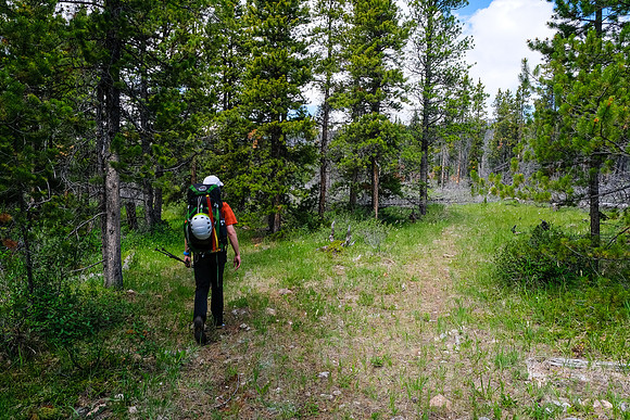 Hiking the Red Deer River trail near the Divide Pass trail junction (R).