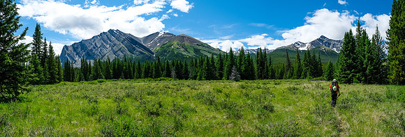 Hiking the Red Deer River trail.