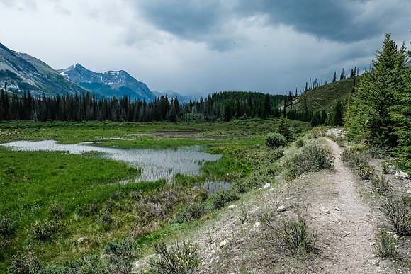 Hiking back along the Cascade fire road trail to Tinda. Storms behind us now!