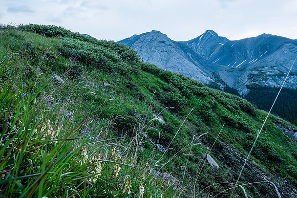 Traversing into the NW valley of McConnell Creek.