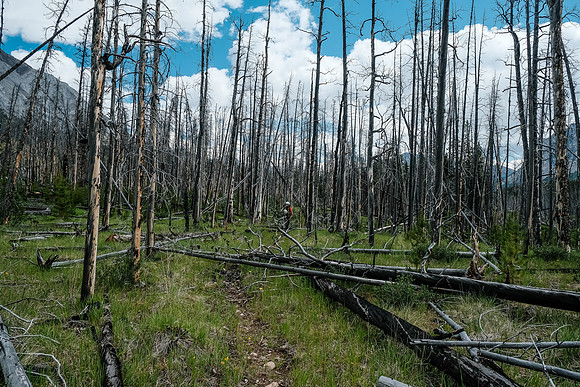 Hiking back along the Red Deer River.