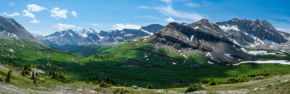 The NW McConnell meadows.