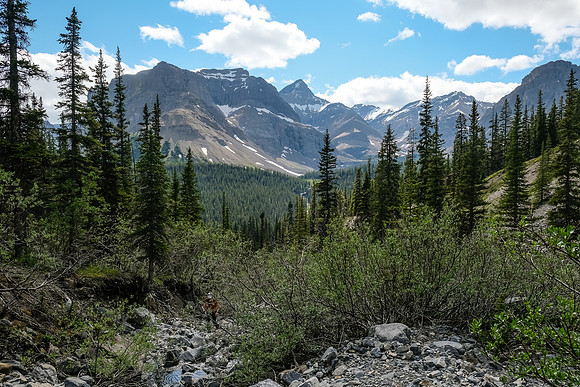 Ascending the west drainage of Boar Station, looking back to our bivy valley and Bleat Peak.