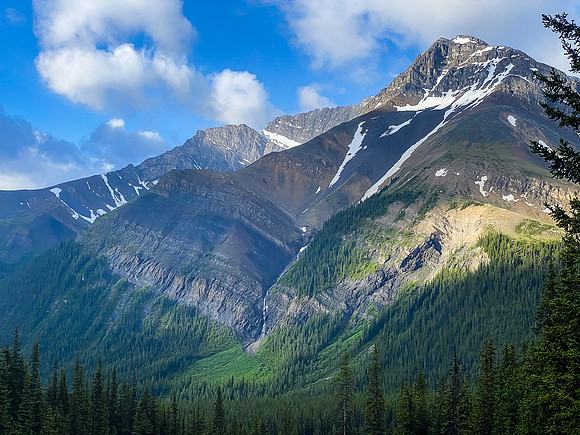 Views across McConnell Creek.