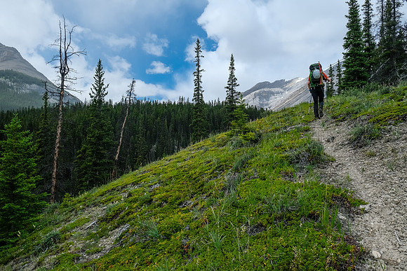 Hiking up McConnell Creek.
