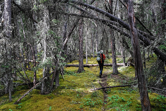 Exiting McConnell Creek.