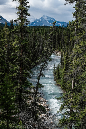 McConnell Creek.