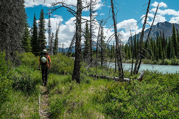 Hiking back along the Red Deer River.