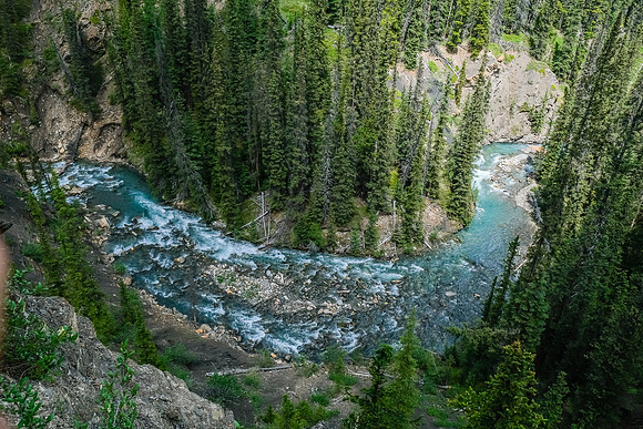 McConnell Creek.
