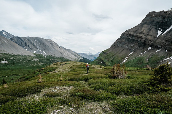 Hiking back to our bivy across the gorgeous McConnell meadows.