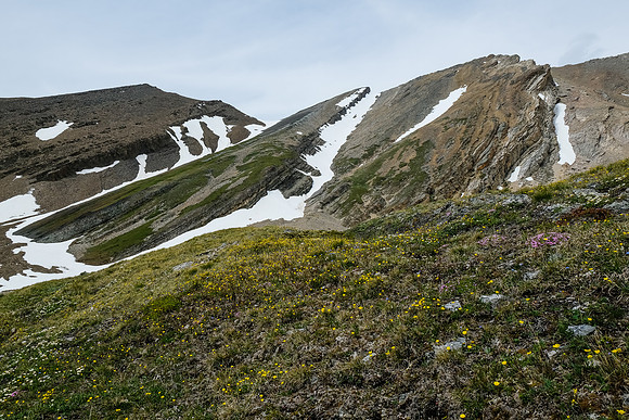 View back to Howl Peak from McConnell meadows.