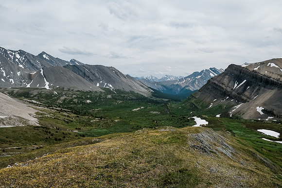 Hiking back to our bivy across the gorgeous McConnell meadows.