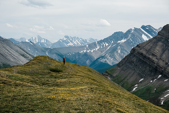 Hiking back to our bivy across the gorgeous McConnell meadows.