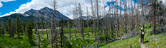 Hiking the Red Deer River trail.