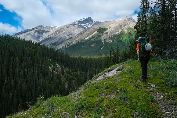 Hiking up McConnell Creek.