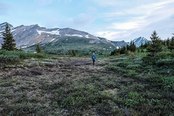 Traversing into the NW valley of McConnell Creek.