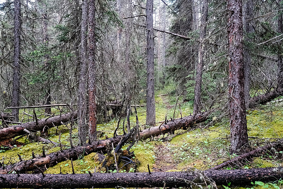Exiting McConnell Creek.
