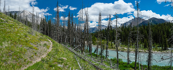 Hiking the Red Deer River trail.