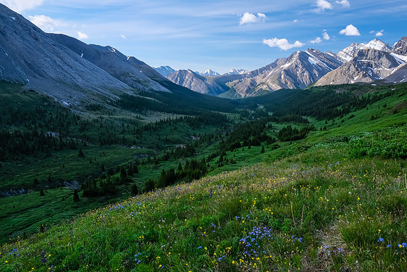 Traversing into the NW valley of McConnell Creek.
