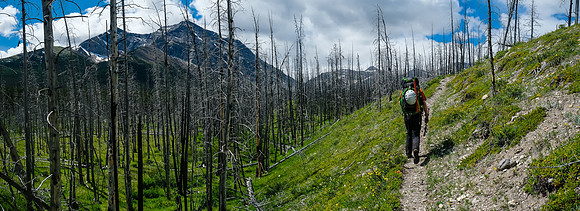 Hiking the Red Deer River trail.