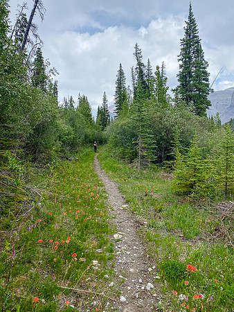 Hiking back along the Cascade fire road trail to Tinda.