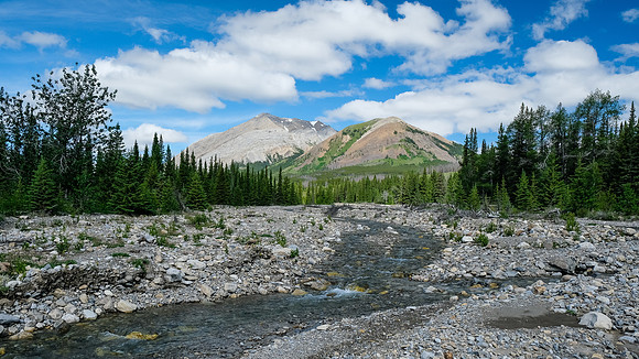 Crossing Tyrell Creek.