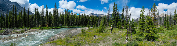 Starting up the McConnell Creek drainage.