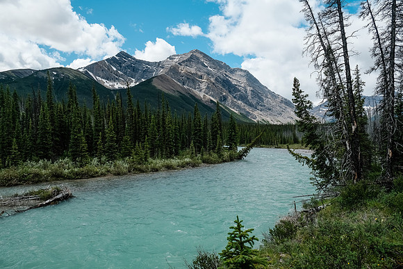Hiking back along the Red Deer River.